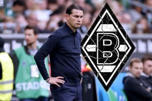 3轮仅1分0进球！德天空：门兴主帅塞瓦内下课，决定立即生效