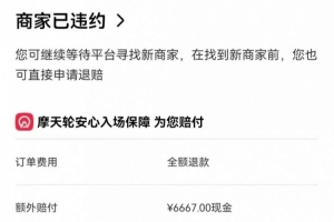 圈内人：这次S15决赛门票很火热 网友分享黄牛因为没票倒赔六千