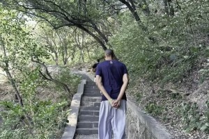 高僧心性！文班被拍到背着手走在嵩山林间